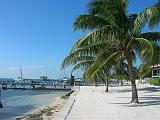 SAN PEDRO3